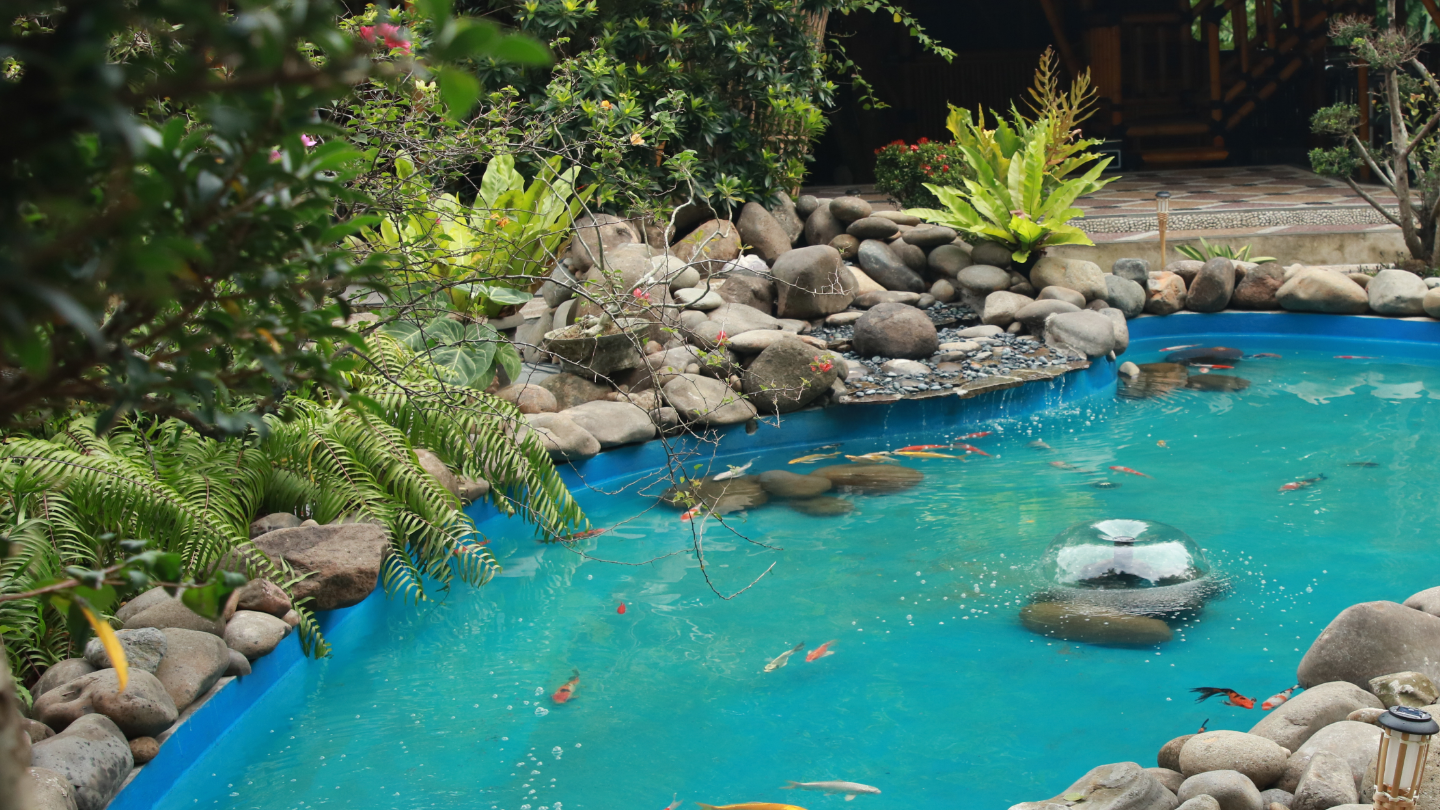 Kolam Ikan